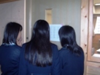Kurasugae1