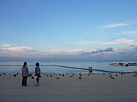 P1060573