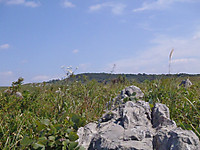 Pa070619